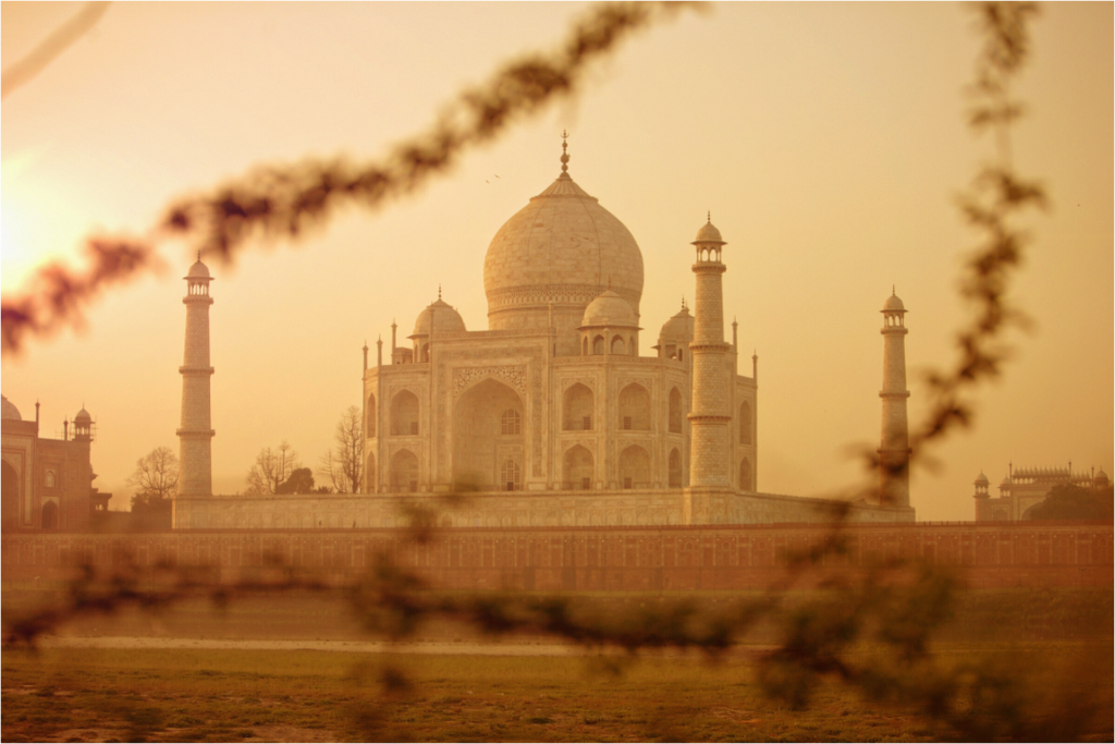 India No. 14 — Beyond the Branches — photograph by Xavier Arnau