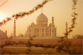 India No. 14 — Beyond the Branches — photograph by Xavier Arnau