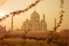 India No. 14 — Beyond the Branches — photograph by Xavier Arnau