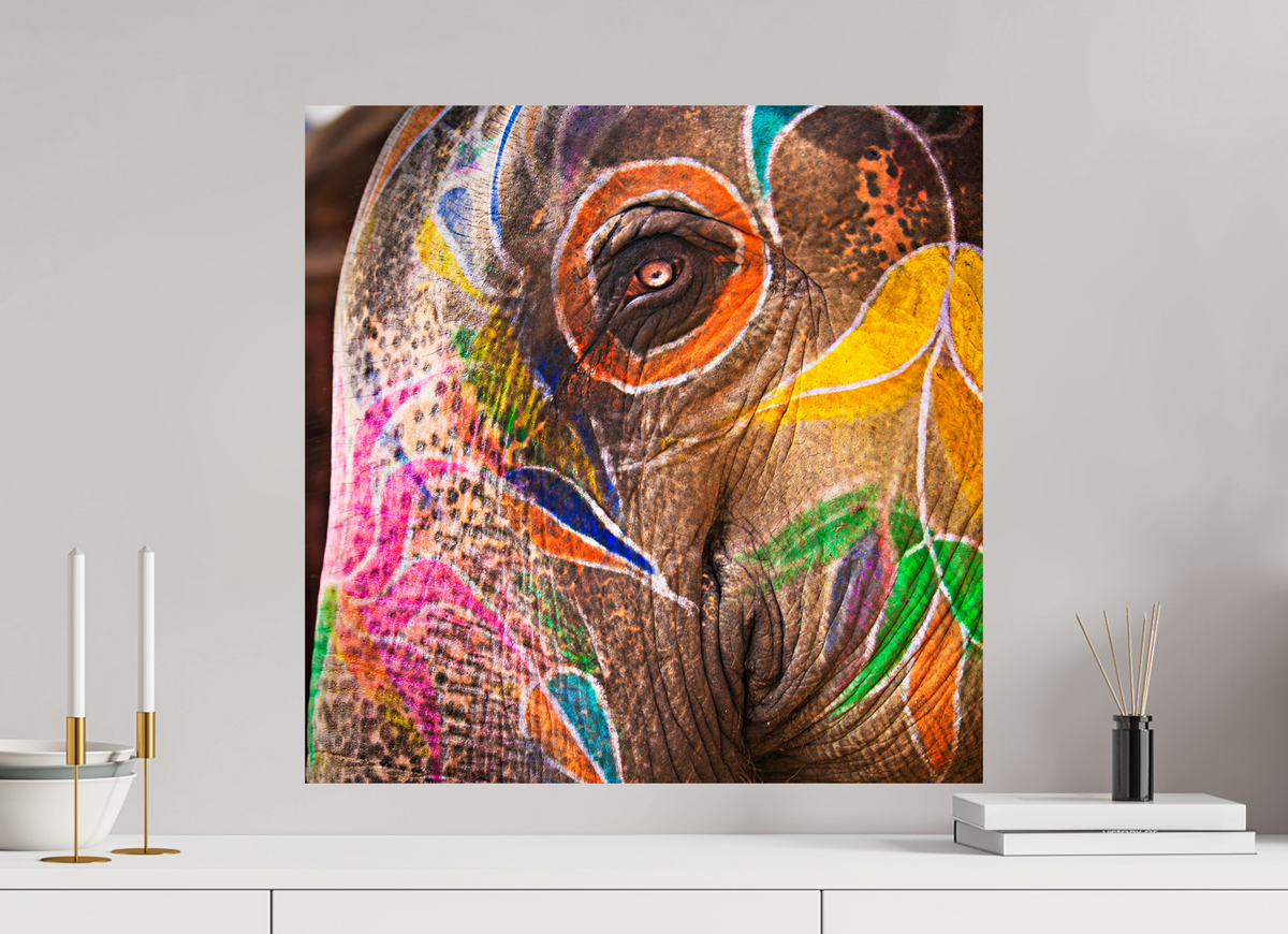 60 x 60 cm, Photo Print On Fuji Crystal DP II India No. 03 — Elephant's Eye